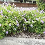 Haus Gafrina Bed and Breakfast