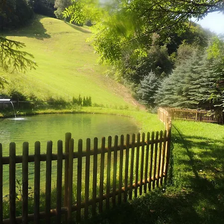 加弗利纳住宿加早餐旅馆 3* 施伦斯