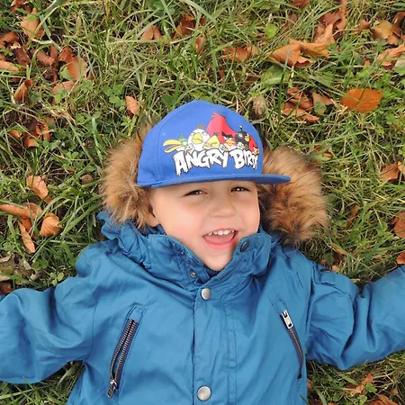 加弗利纳住宿加早餐旅馆 3*